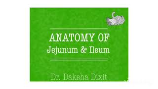 ANATOMY OF JEJUNUM amp ILEUM [upl. by Cochrane]