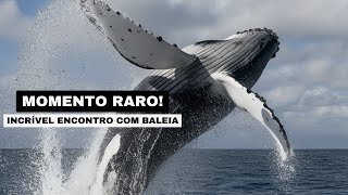 Você Não Vai Acreditar no Que Vi em Búzios RJ Baleia Gigante Aparece 😱🐋 [upl. by Reneta]