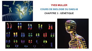 Chapitre 3 – Génétique  Cours de Biologie du DAEUB [upl. by Lehcsreh]