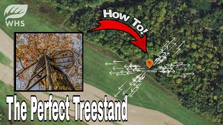 The Perfect Treestand Setup For Bowhunting Whitetails [upl. by Ahslek]