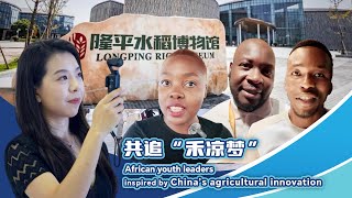 African youth leaders inspired by Chinas agricultural innovation [upl. by Taima903]