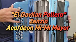 El Gavilan PolleroZenzioAcordeon MiMi Mayor [upl. by Llevart]