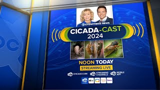 Happening Now CicadaCast 2024 answers all your questions about upcoming cicada emergence [upl. by Akeenahs]