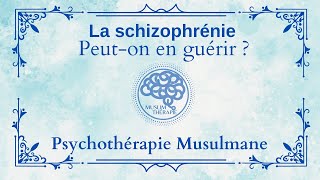 049 La schizophrénie  Peuton en guérir [upl. by Acirtap]