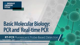 Basic Molecular Biology PCR and RealTime PCR – RTPCR Fluorescent ProbeBased Detection [upl. by Aroved15]