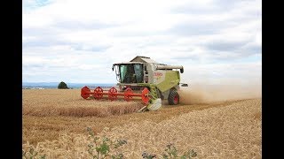 Weizen Dreschen Claas Lexion 640 bei der Arbeit in der nähe von Maintal Wachenbuchen [upl. by Inaniel]