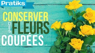 Comment conserver des fleurs coupées [upl. by Ydualc]