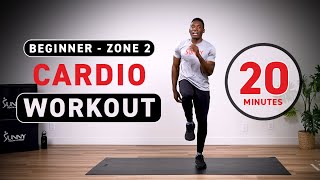 Beginner Zone 2 Cardio Workout  BODYWEIGHTNO EQUIPMENT  20 Minutes [upl. by Mandel]