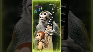 The Wild Macaque Monkey Fun Factory In Nature [upl. by Aenyl35]