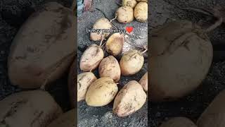 masarap sa probinsya maraming sariwang gulay😊 shortvideo buhayprobinsya viralvideo shorts [upl. by Fitz]