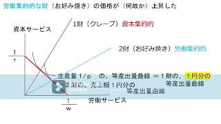 国際貿易論（江口）第6回授業その3（「ストルパー・サミュエルソンの定理」） [upl. by Nathanael]