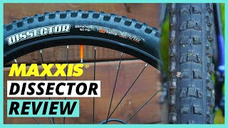 The Best Do It All Mountain Bike Tire  Maxxis Dissector Review [upl. by Yttik]