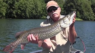 Fly Fishing for Tiger Muskie in Washington [upl. by Lenod284]