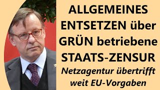 Fassungslosigkeit bei linken Journalisten Verfassungs und Medienrechtlern über ZensurGrün [upl. by Clabo]