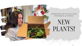 Unboxing my Bluestone Perennials live plants order  April Garden VLOG [upl. by Alley]