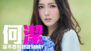 JOY RICH 新歌 何潔  請不要對我說Sorry [upl. by Tammi726]