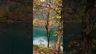 autumn alpee nature alpen alpstein bayern mountains walking radtour allgau neuschwanstein [upl. by Gardie360]