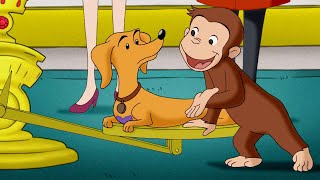 George incontra una principessa 🐵 Curioso Come George 🐵 Cartoni per Bambini [upl. by Jahdal158]