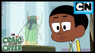 Does Craig Like Bugs  Season 1  Craig Of The Creek  Cartoon Network [upl. by Sophi730]