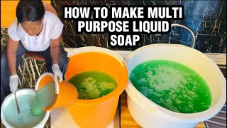 How to Take Multi Purpose Liquid Soap at Home  How To Make Liquid Soap For All Uses At Home [upl. by Sailesh]