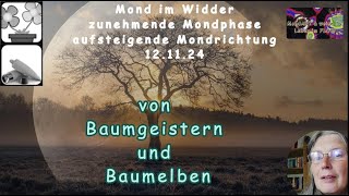 Mond Geflüster von Baumgeistern und Baumelben [upl. by Andrea]