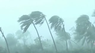 Typhoon Yagi makes landfall in China [upl. by Ellehsram]