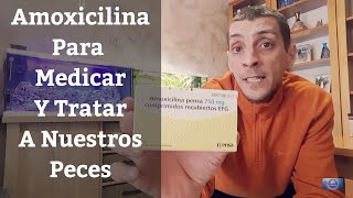 🔵 Amoxicilina En El Acuario Para Medicar Y Tratar Enfermedades De Peces Acuarios MB [upl. by Williams]