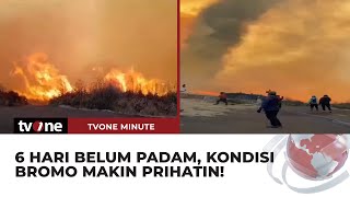 Sudah 6 Hari Kebakaran di Gunung Bromo Masih Terus Meluas  tvOne Minute [upl. by Austin274]