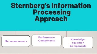 Sternbergs Information processing Approach [upl. by Eseekram235]