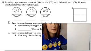 NonMendelian Genetics Test Practice Problems [upl. by Nie338]