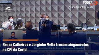 Renan Calheiros e Jorginho Mello trocam xingamentos na CPI da Covid [upl. by Tia546]