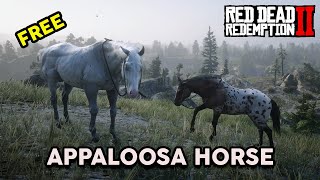 Free Appaloosa Horse With Location  RDR2 [upl. by Eiromem]