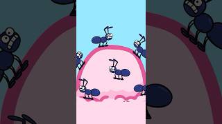 Eek The Ants are Everywhere – Hooray Kids Songs shorts kidssong animals ants [upl. by Munroe]