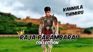 RAJA PARAMBARAI collection 🔥😂😍  harishhatricks comedy youtube [upl. by Burleigh]