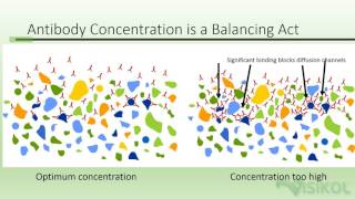 Visikol HISTO Immunolabeling Tutorial [upl. by Malloy]