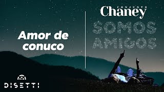 Conjunto Chaney  Amor De Conuco  Salsa Romántica [upl. by Celie224]