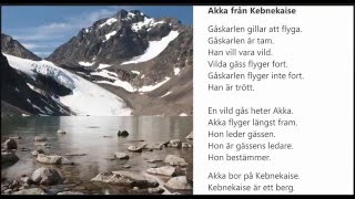 Ljudbok Nisse Holgersson kapitel 2 Akka från Kebnekaise [upl. by Ttehr332]