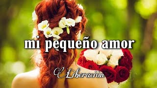 mi pequeño amor  liberación LETRA [upl. by Ariahaj]