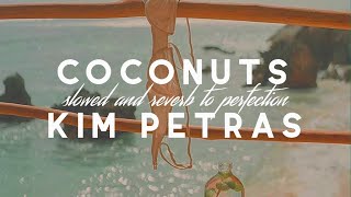 🥥 ｃｏｃｏｎｕｔｓ🥥  kim petras  slowed and reverb to perfection [upl. by Rutledge]