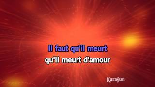 Karaoké Requiem pour un fou Live  Johnny Hallyday [upl. by Dnama]