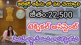 కలెక్టర్ ఆఫీసు ap district collector office jobs 2024 ap contract jobs 2024 ap latest jobs 2024 [upl. by Maffa706]