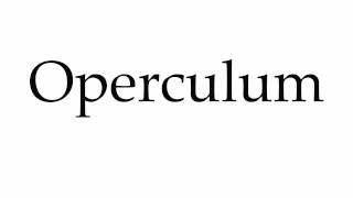 How to Pronounce Operculum [upl. by Malvino]