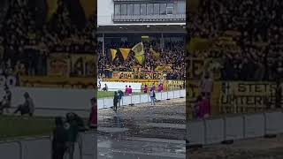 Borussia Dortmund Amateure vs TSV 1860 München 28092024 [upl. by Tiebold]