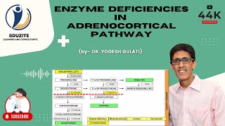 Enzyme Deficiencies In Adrenocortical Pathway CONGENITAL ADRENAL HYPERPLASIA [upl. by Kristal]