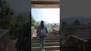 Samse tea estate 🌱viralvideotrendingtravelyoutubeshortsnaturekarnatakabengalurukudremukhwow [upl. by Jacklin934]