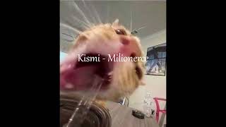 Kismi  Milionerce Sped up [upl. by Nodgnal779]