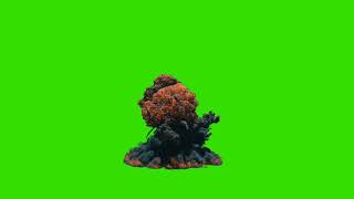 Green Screen Explosion [upl. by Gladwin]