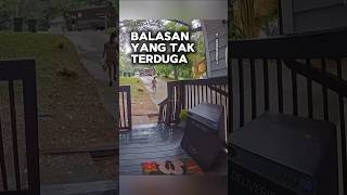 Balasan yang tak terduga shortvideo [upl. by Yesor]