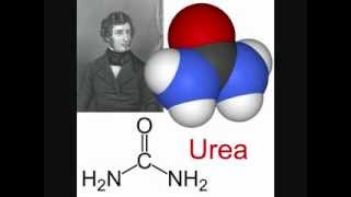 Urea Thiourea and the Beilstein Test [upl. by Trow145]