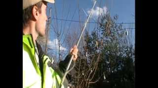 Extending a Tree Sprayer [upl. by Sonni]